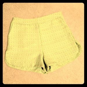 NWOT High-wasted Short Green Shorts